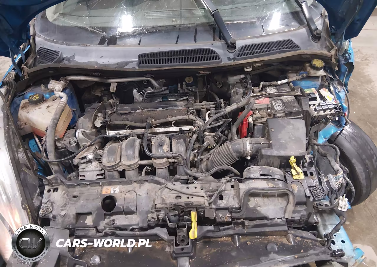 2015 Ford Fiesta Se VIN:3FADP4EJ3FM224834 - 10