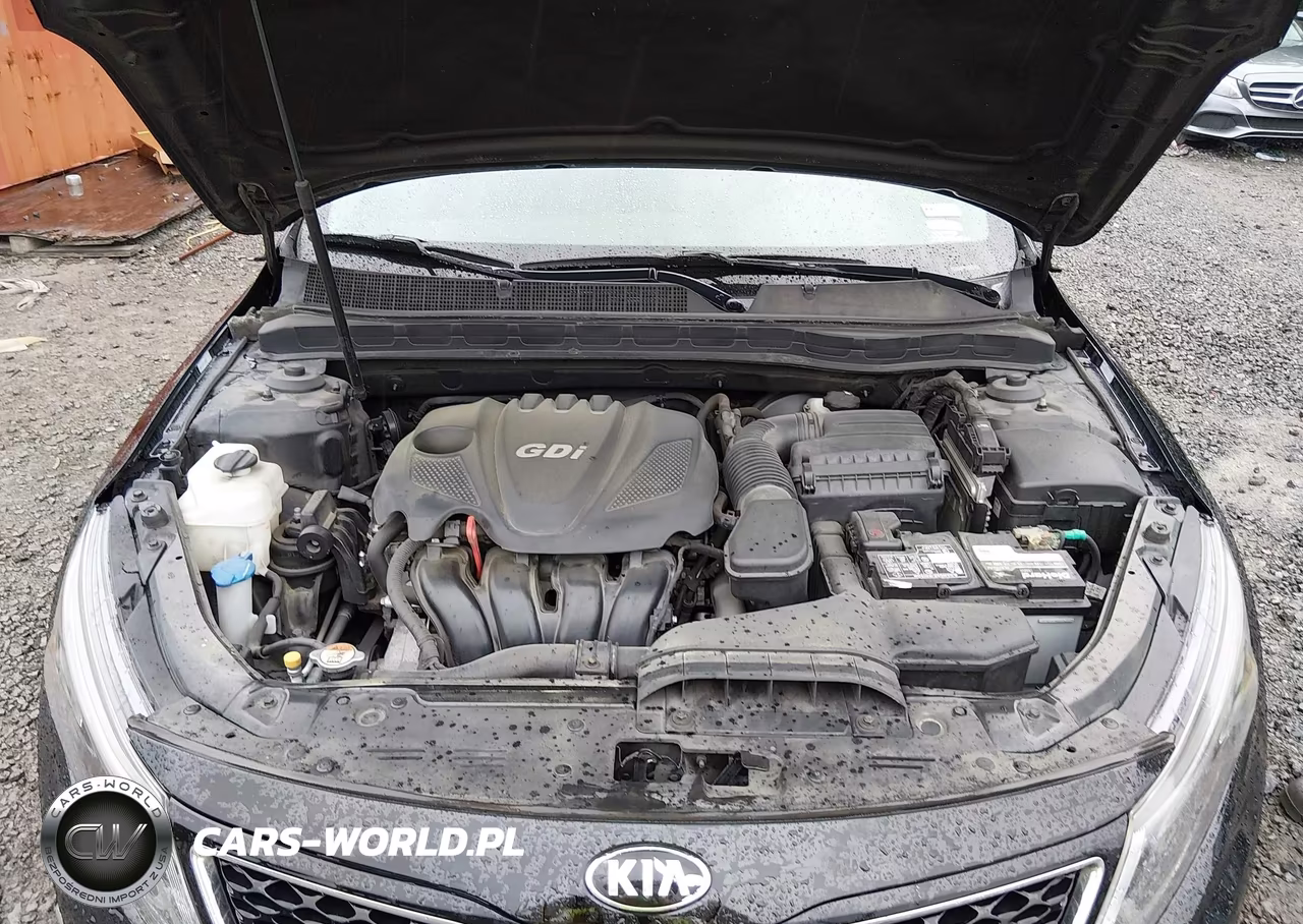 2014 Kia Optima Ex VIN:5XXGN4A71EG280701 - 10