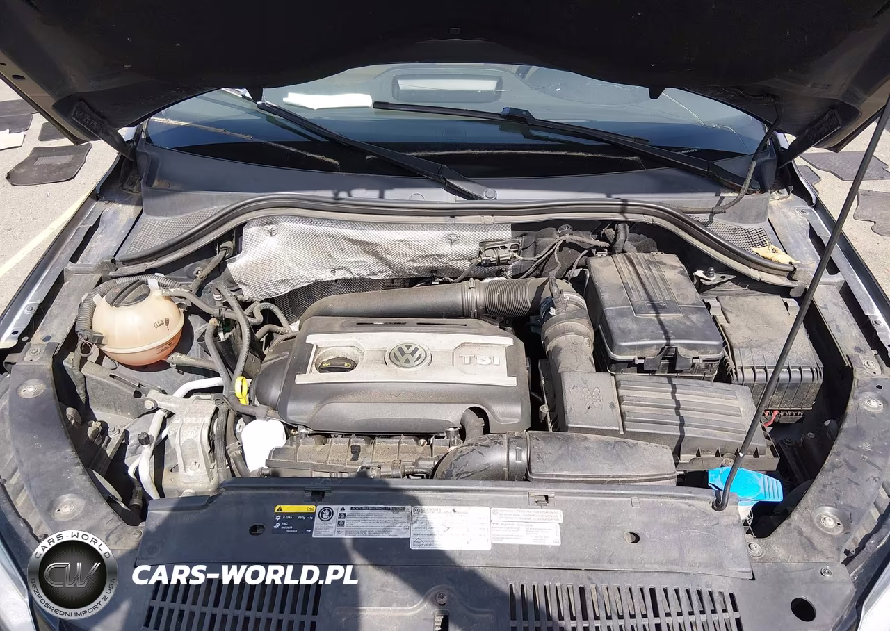 2014 Volkswagen Tiguan Sel VIN:WVGBV3AX6EW510330 - 10