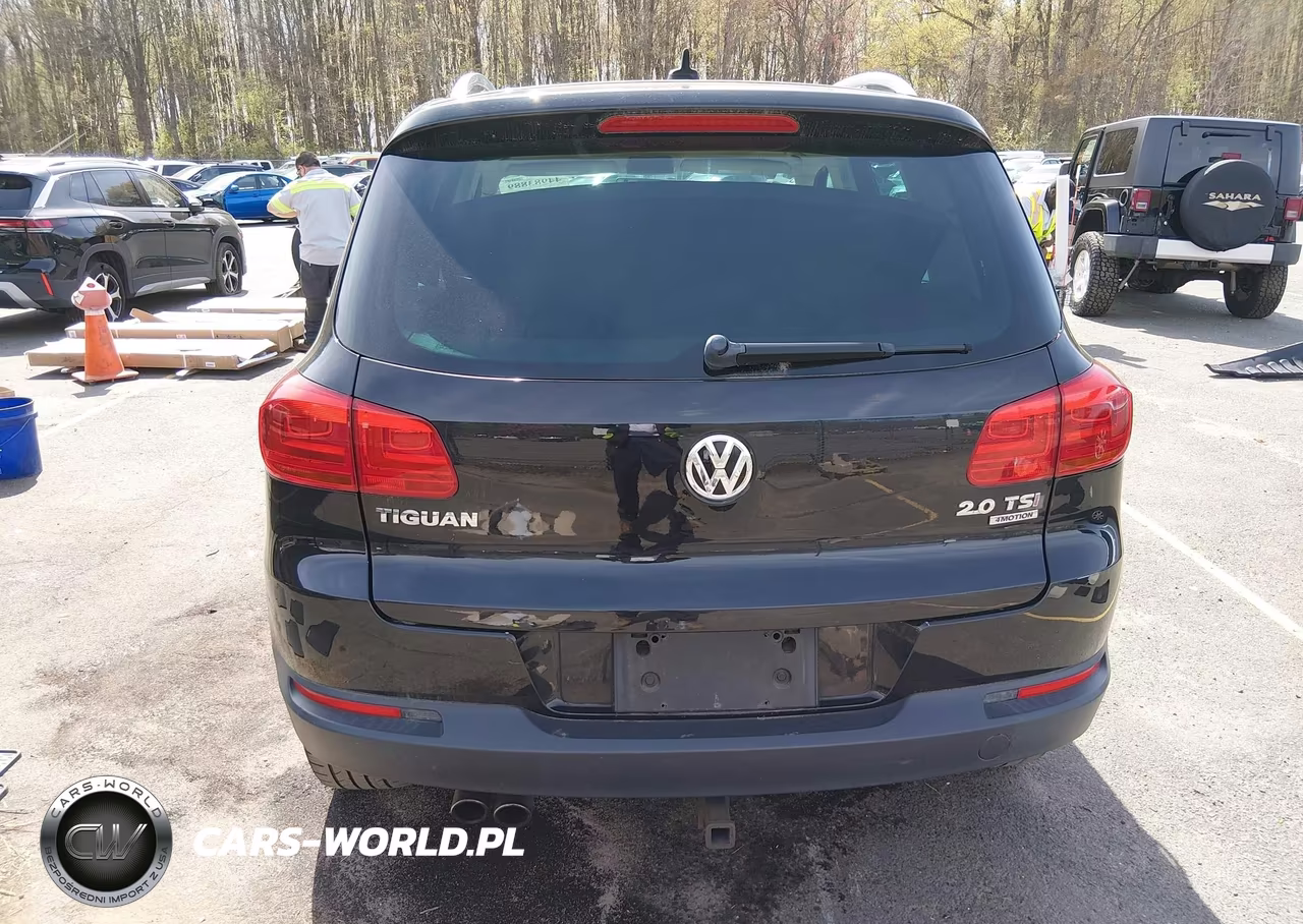 2014 Volkswagen Tiguan Sel VIN:WVGBV3AX6EW510330 - 17