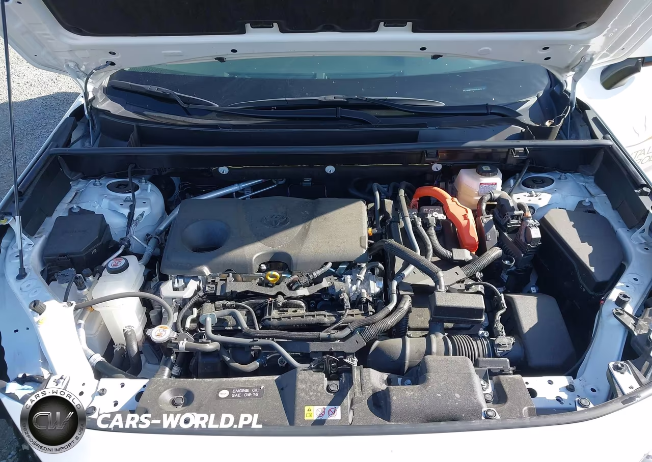 2025 Toyota Rav4 Hybrid Le VIN:JTMMWRFV5SD309272 - 10