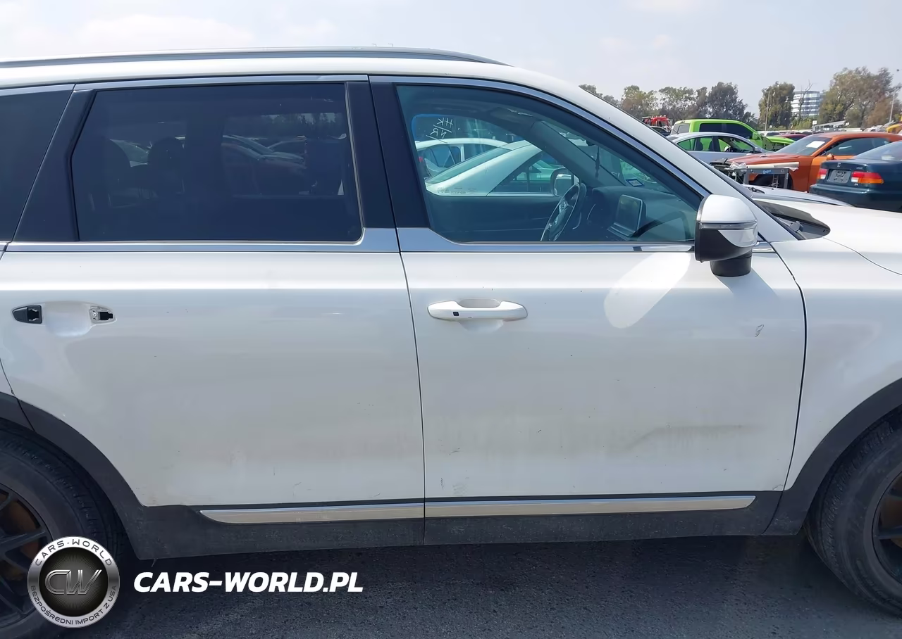 2020 Kia Telluride Ex VIN:5XYP34HC4LG002246 - 12
