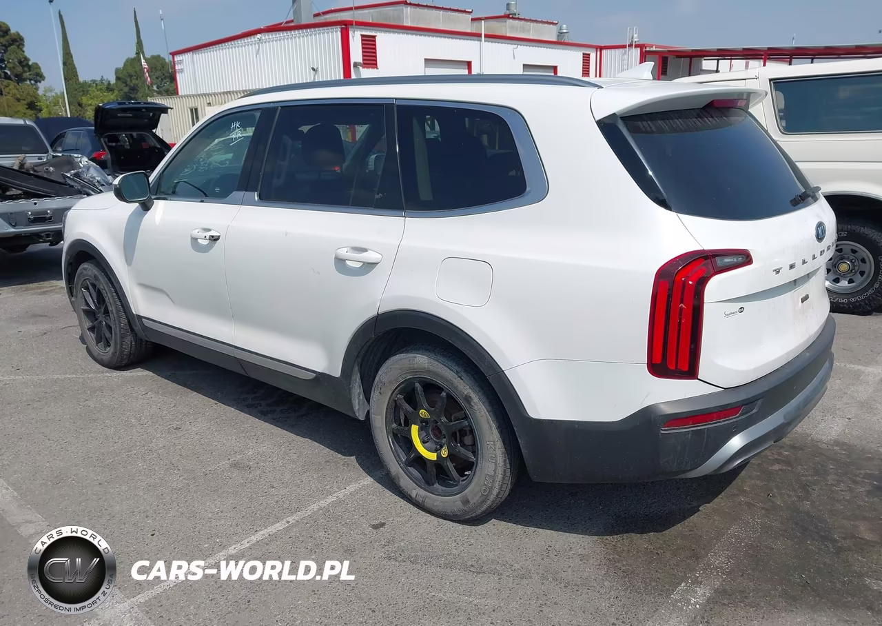 2020 Kia Telluride Ex VIN:5XYP34HC4LG002246 - 3
