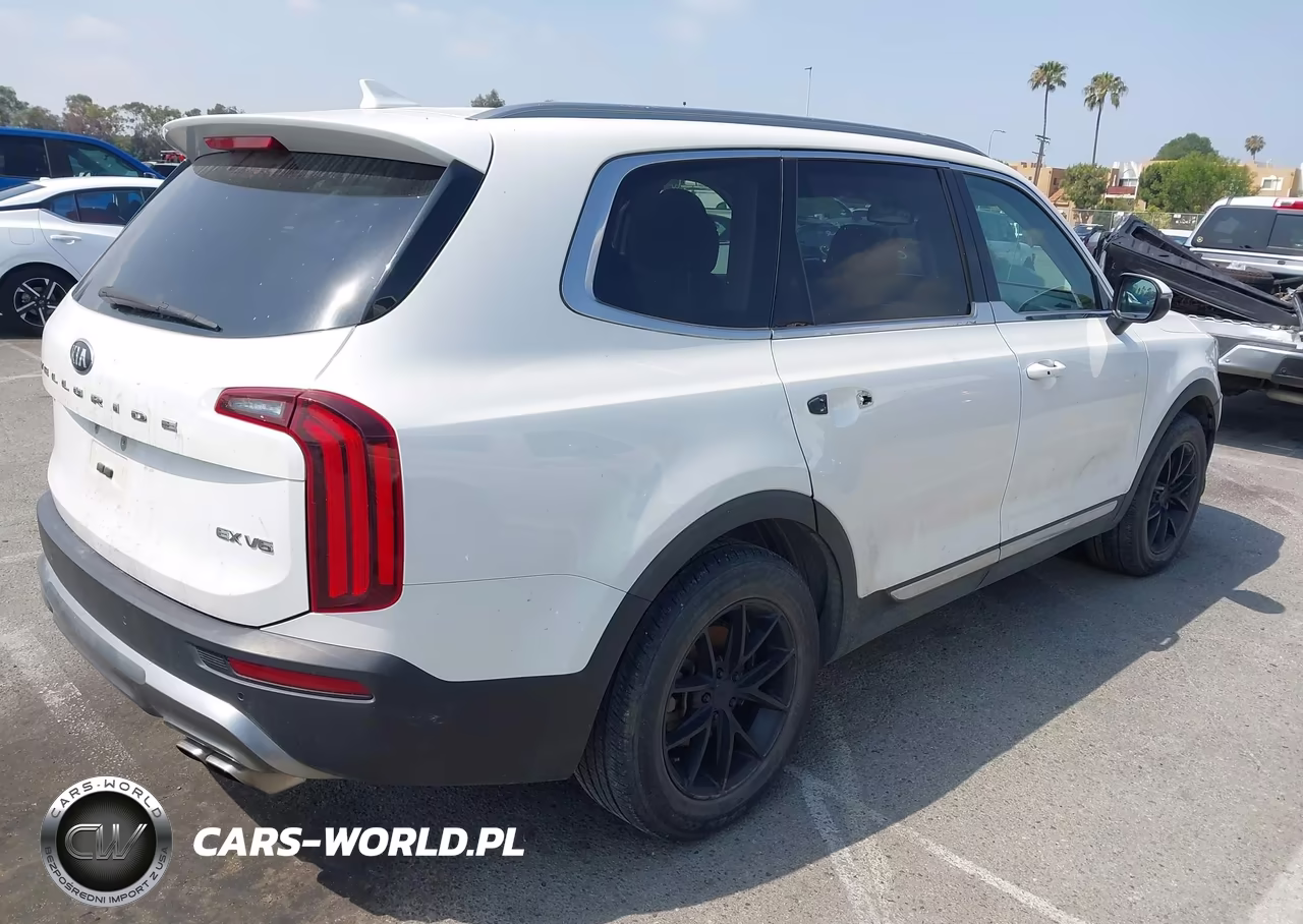 2020 Kia Telluride Ex VIN:5XYP34HC4LG002246 - 4