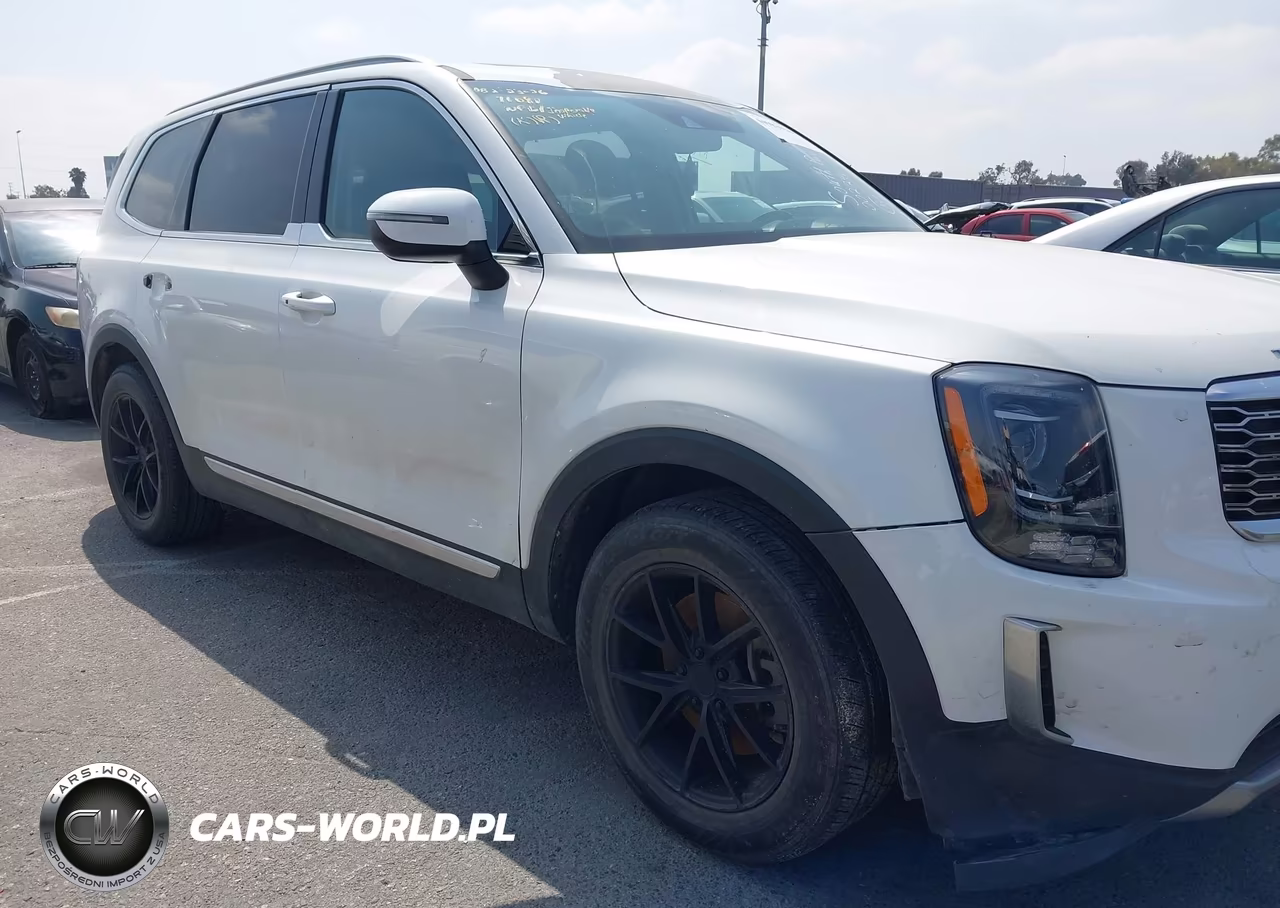 2020 Kia Telluride Ex VIN:5XYP34HC4LG002246 - 6