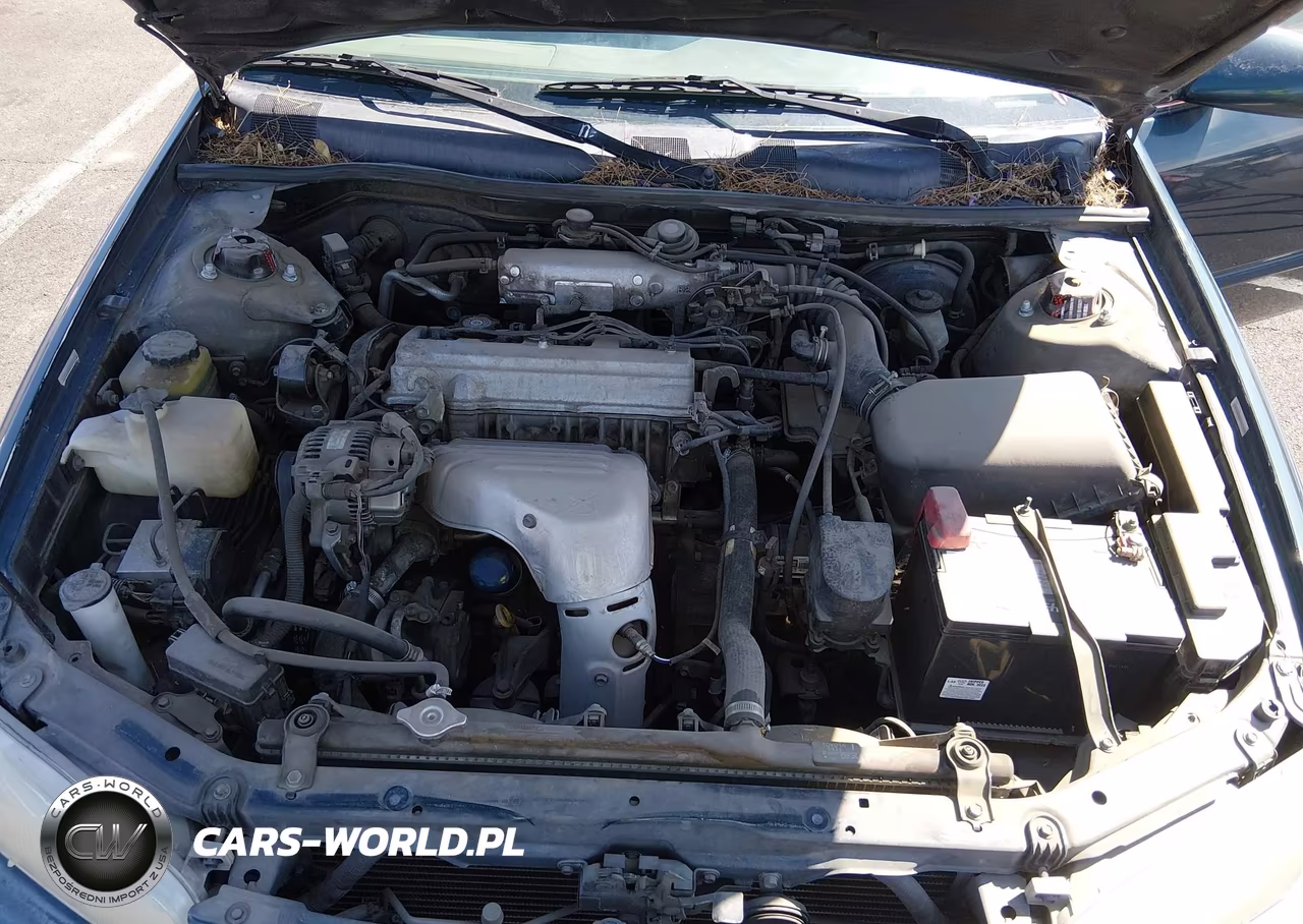 1997 Toyota Camry Le VIN:JT2BG22K5V0057700 - 10