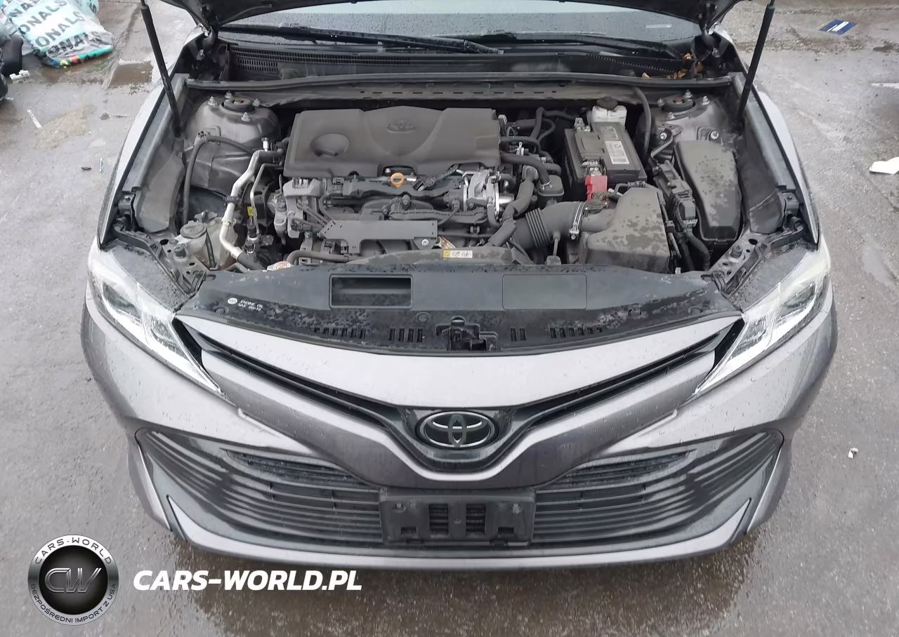 2019 Toyota Camry Le VIN:4T1B11HK0KU781675 - 10