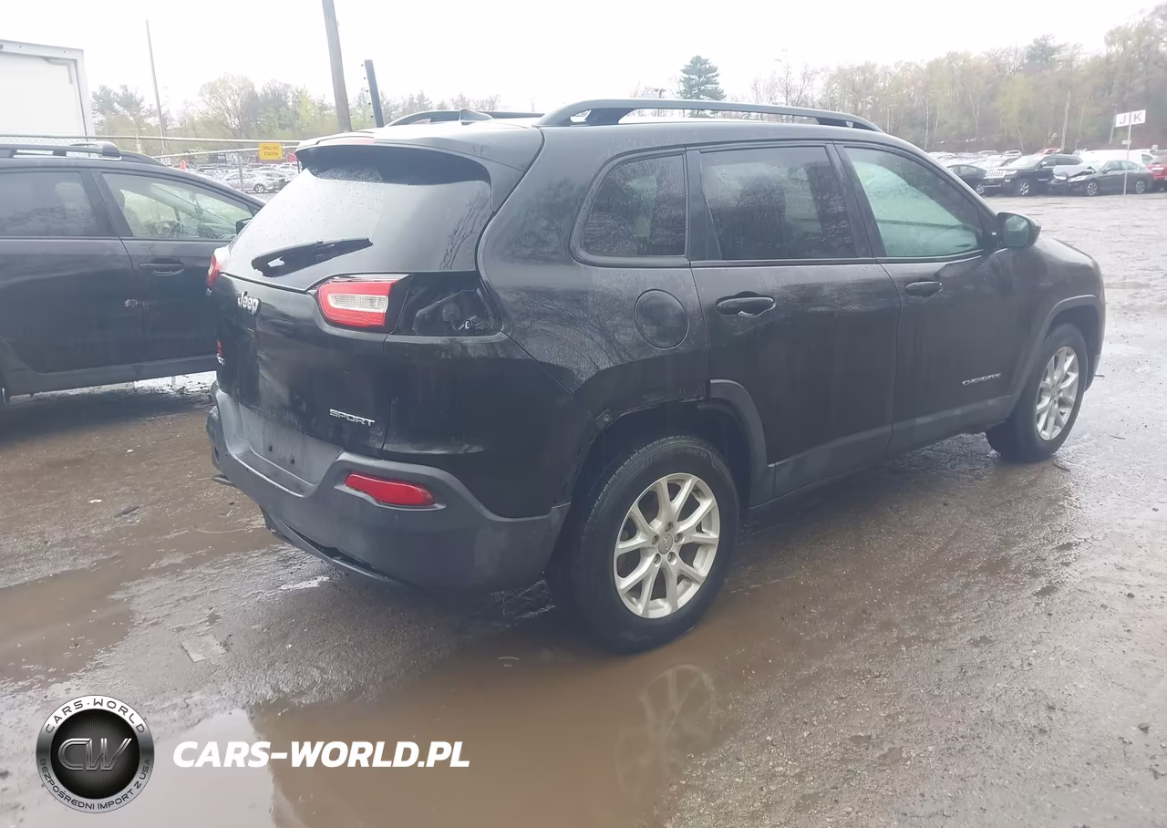 2016 Jeep Cherokee Sport VIN:1C4PJMAB9GW262416 - 4