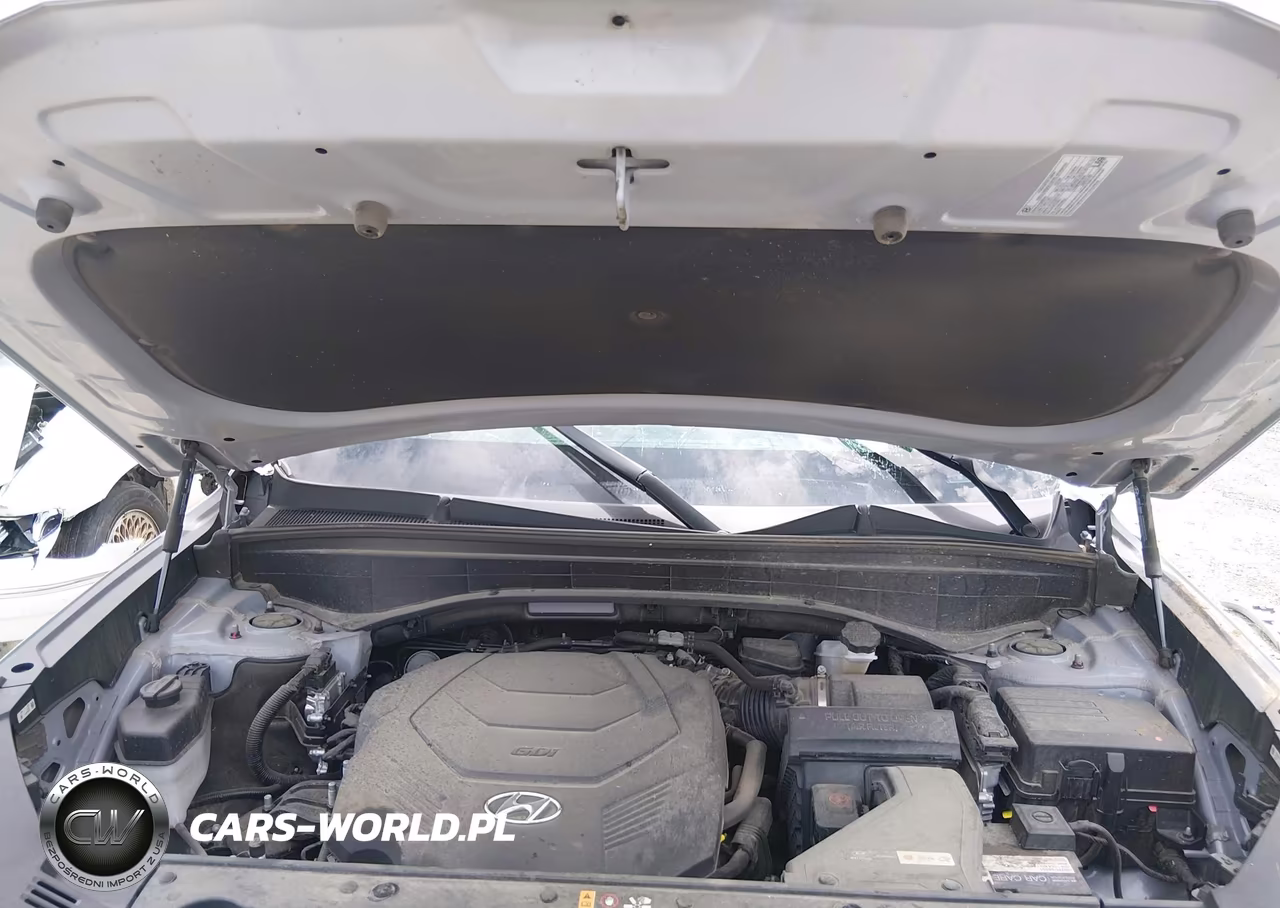 2022 Hyundai Palisade Limited VIN:KM8R5DHE9NU436633 - 10