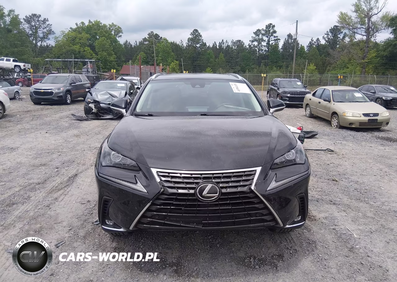 2019 Lexus Nx 300 VIN:JTJYARBZ3K2144601 - 12