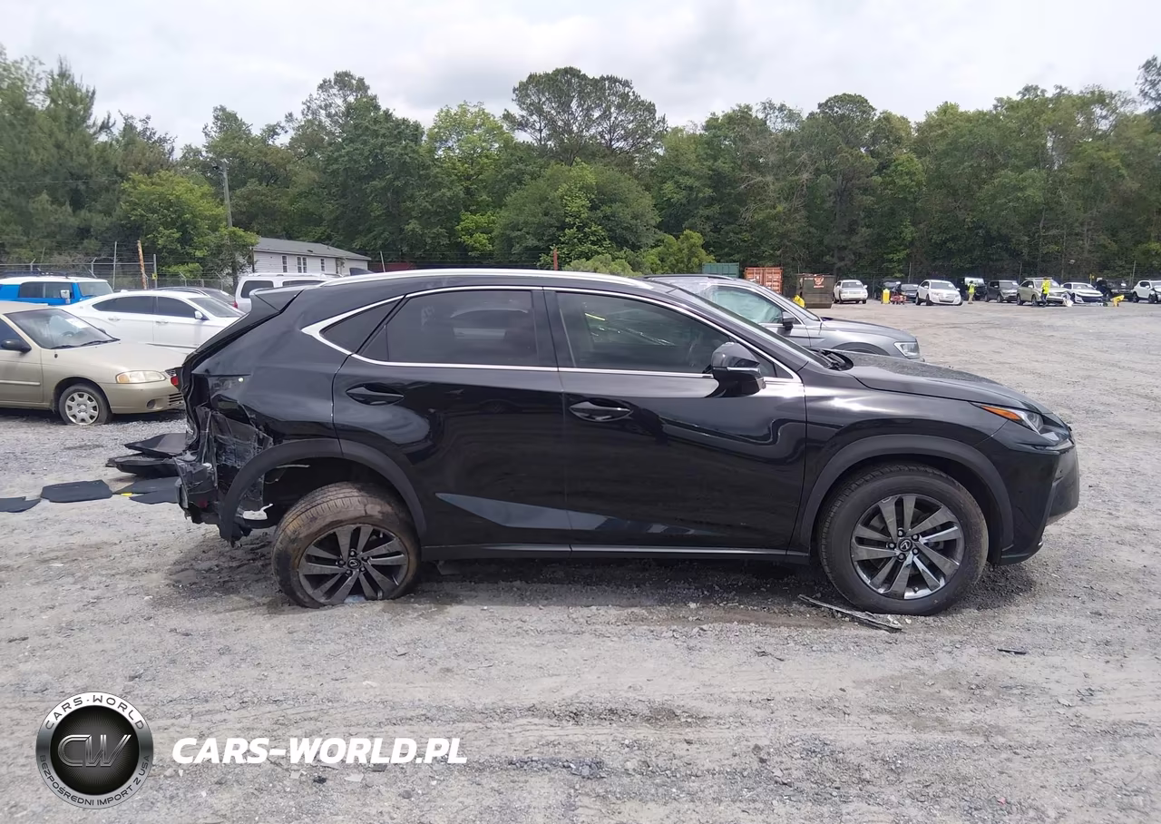 2019 Lexus Nx 300 VIN:JTJYARBZ3K2144601 - 13