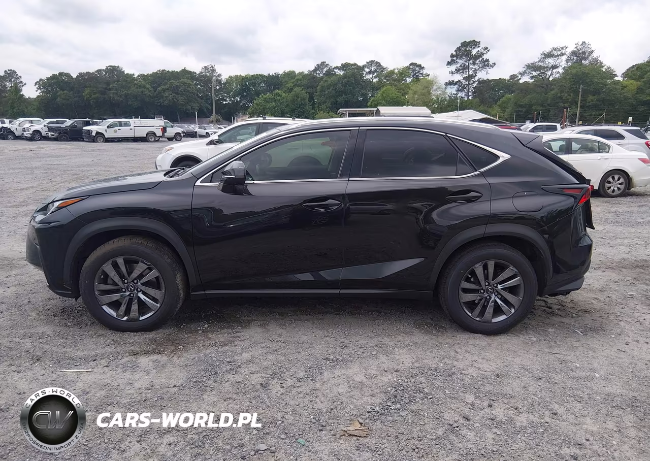 2019 Lexus Nx 300 VIN:JTJYARBZ3K2144601 - 14