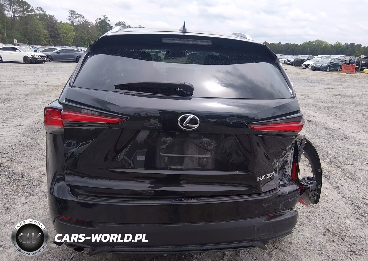 2019 Lexus Nx 300 VIN:JTJYARBZ3K2144601 - 16