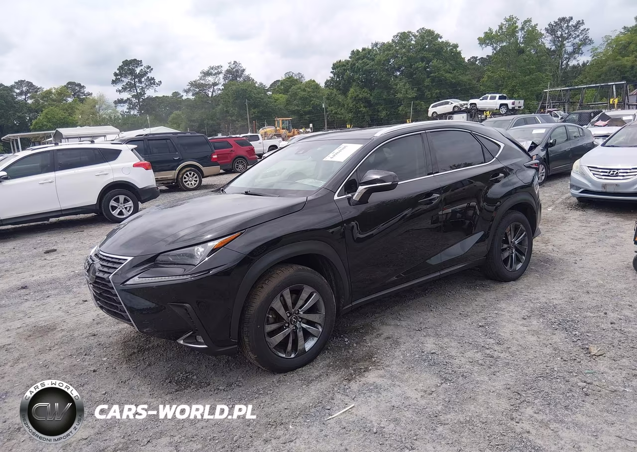2019 Lexus Nx 300 VIN:JTJYARBZ3K2144601 - 2