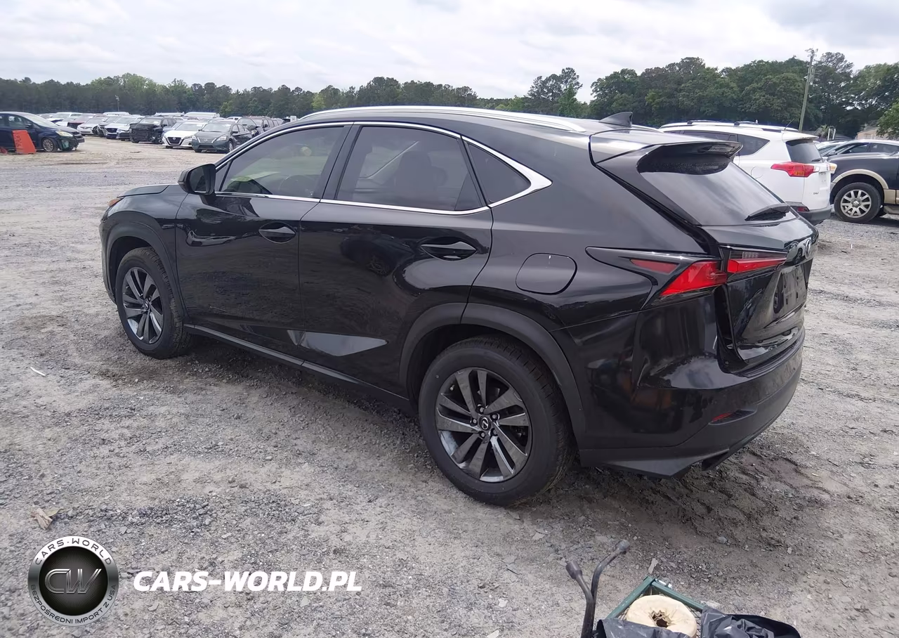 2019 Lexus Nx 300 VIN:JTJYARBZ3K2144601 - 3