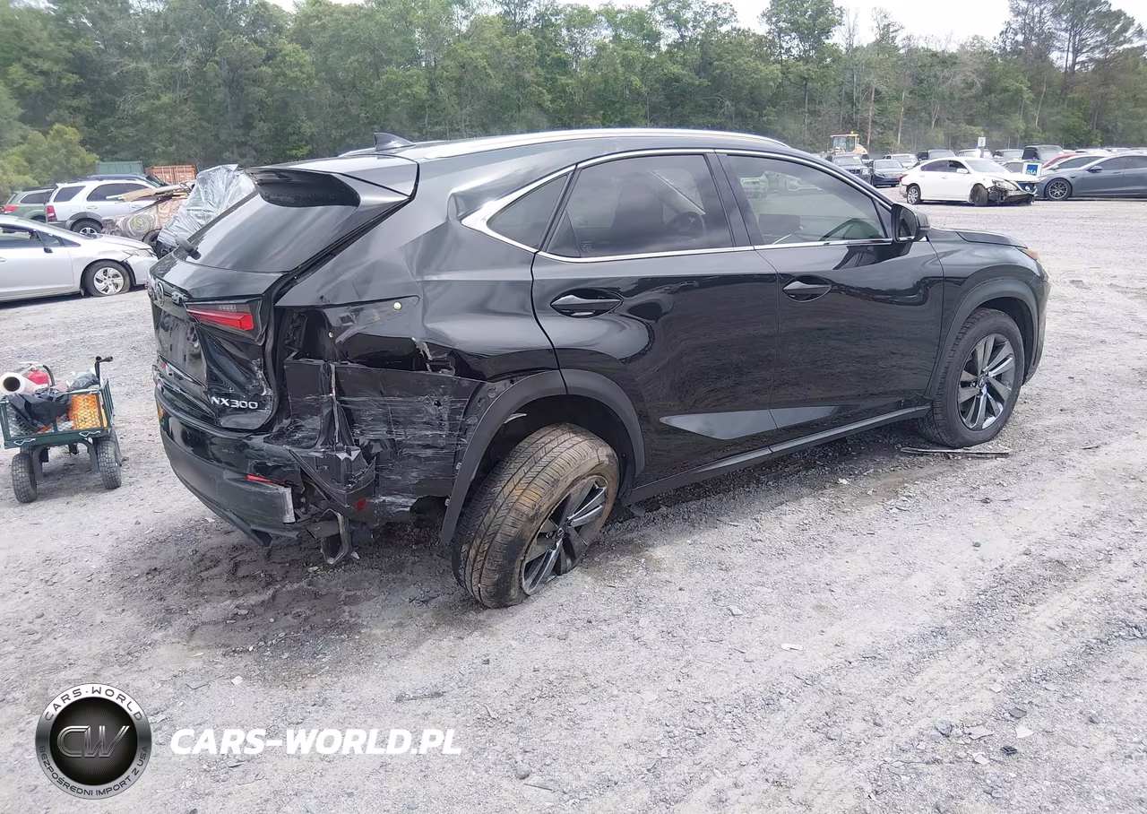 2019 Lexus Nx 300 VIN:JTJYARBZ3K2144601 - 4