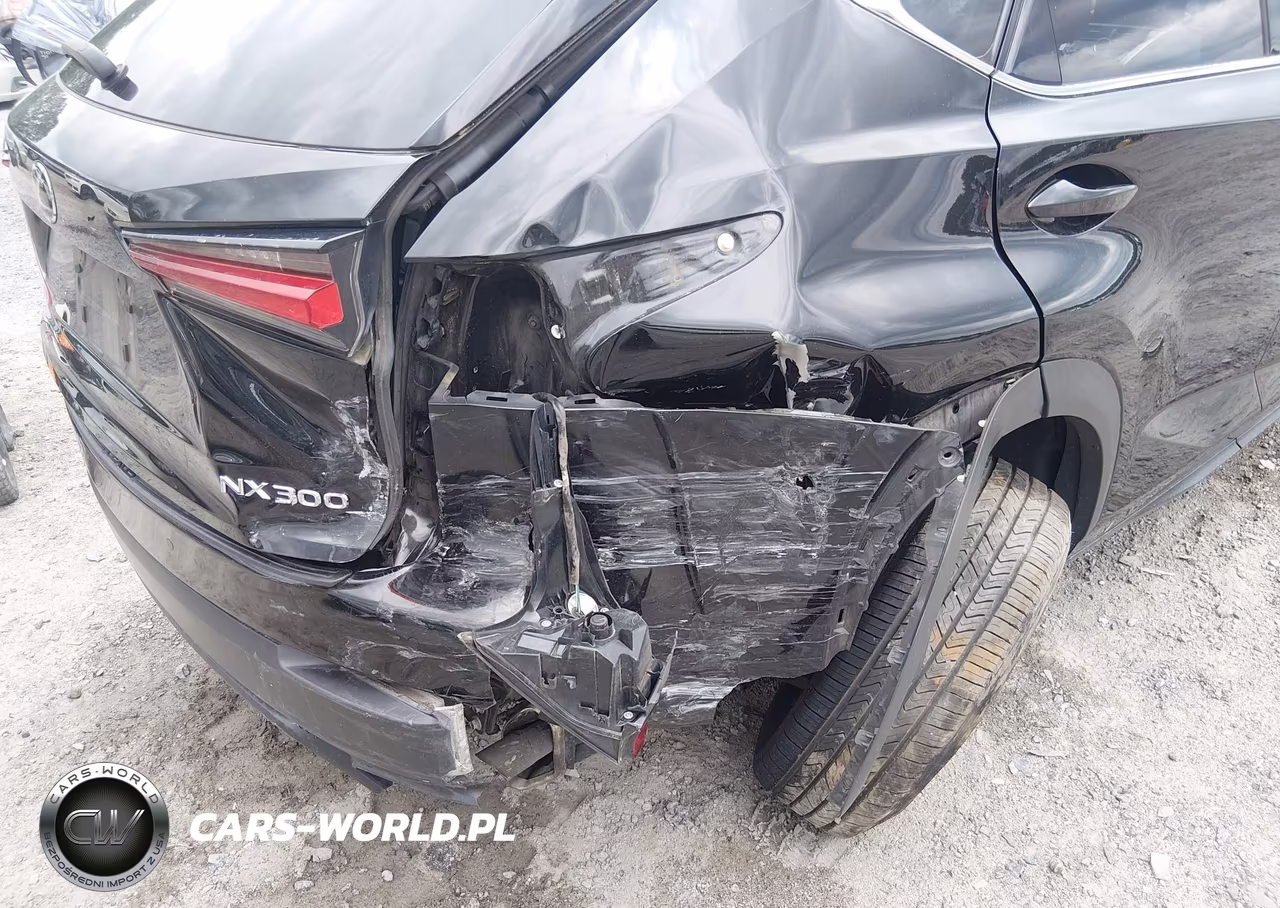 2019 Lexus Nx 300 VIN:JTJYARBZ3K2144601 - 6