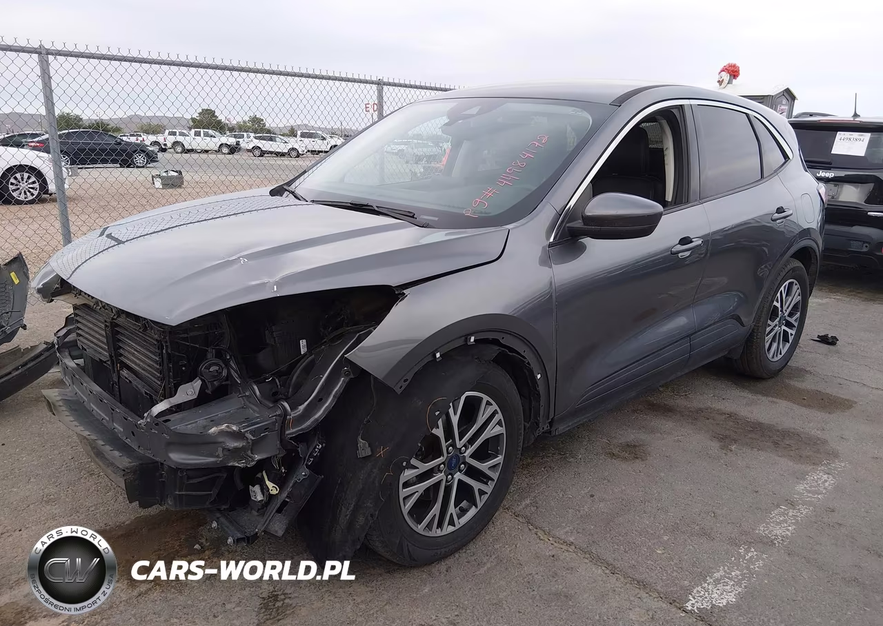 2022 Ford Escape Sel VIN:1FMCU0H60NUA69762 - 2