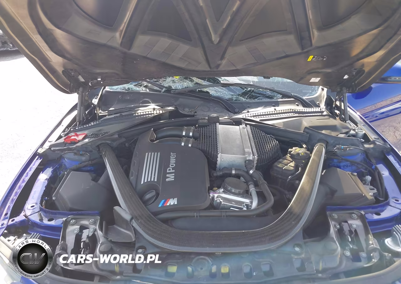 2019 BMW M4 Cs VIN:WBS3S7C56KAC09355 - 10
