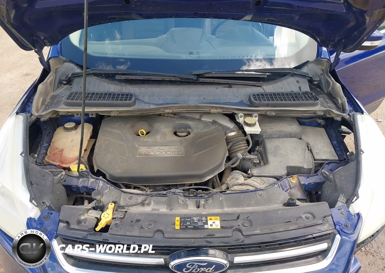 2013 Ford Escape Sel VIN:1FMCU9H91DUA79875 - 10