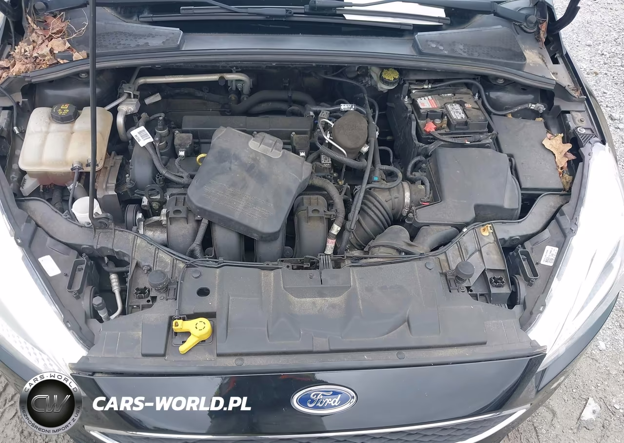 2015 Ford Focus Se VIN:1FADP3F27FL273201 - 10