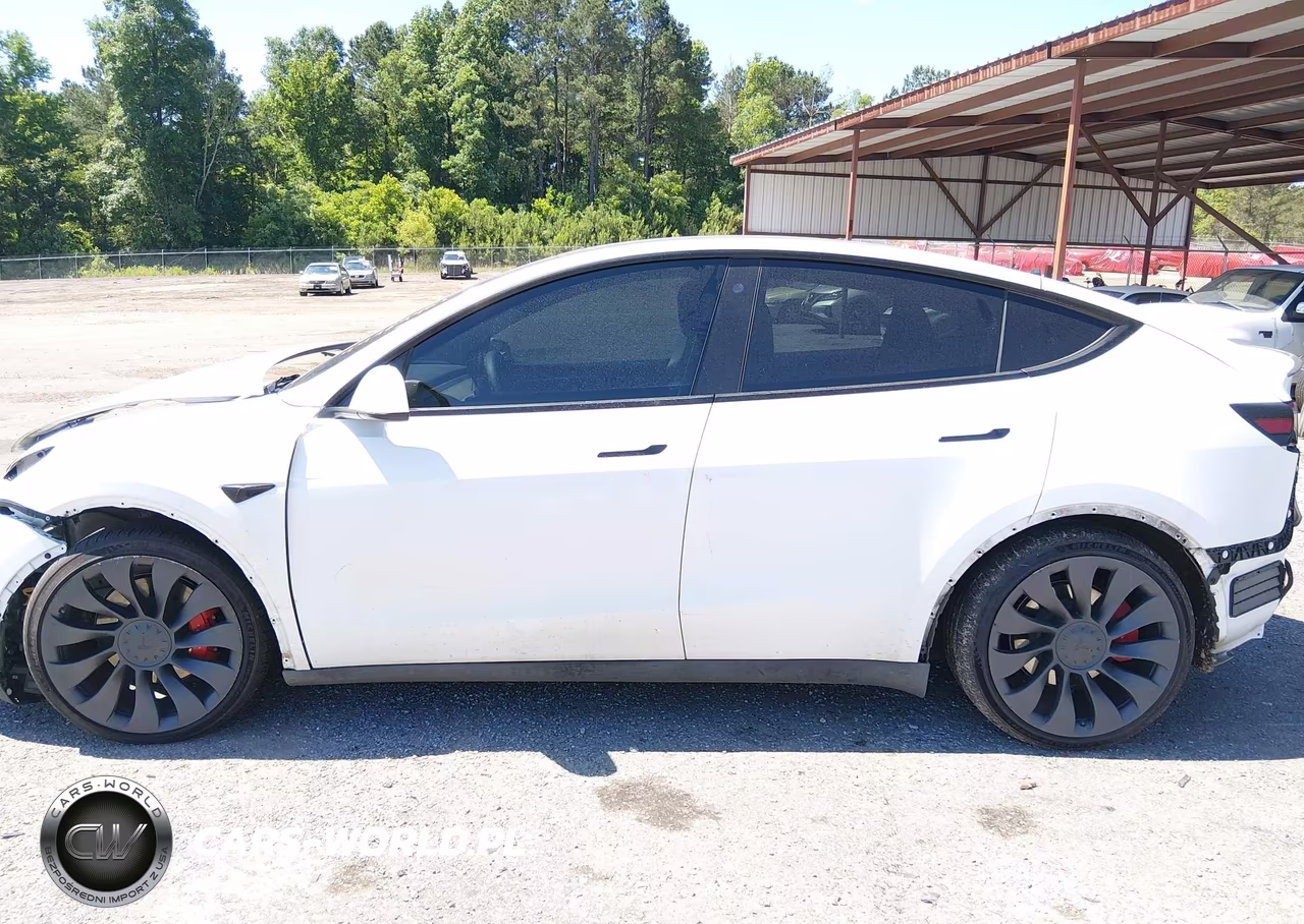 2022 Tesla Model Y Performance Dual Motor All-Wheel Drive VIN:7SAYGDEF2NF564568 - 15