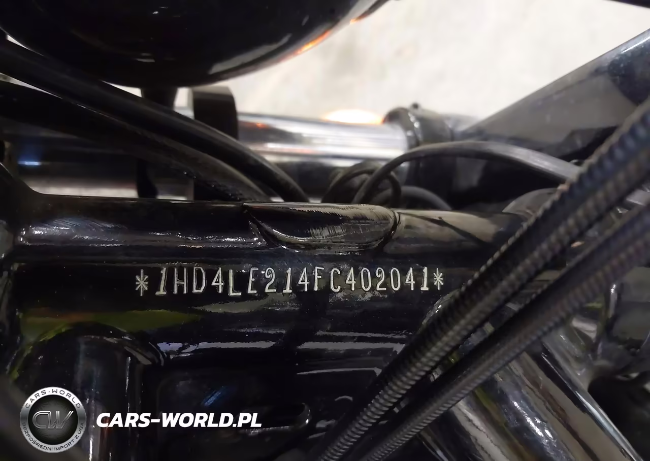 2015 Harley-Davidson Xl883 Iron 883 VIN:1HD4LE214FC402041 - 10