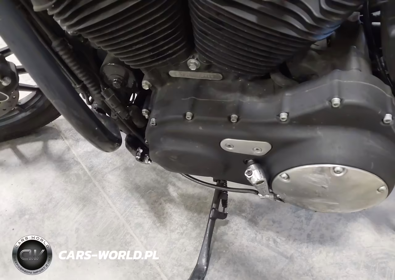 2015 Harley-Davidson Xl883 Iron 883 VIN:1HD4LE214FC402041 - 14
