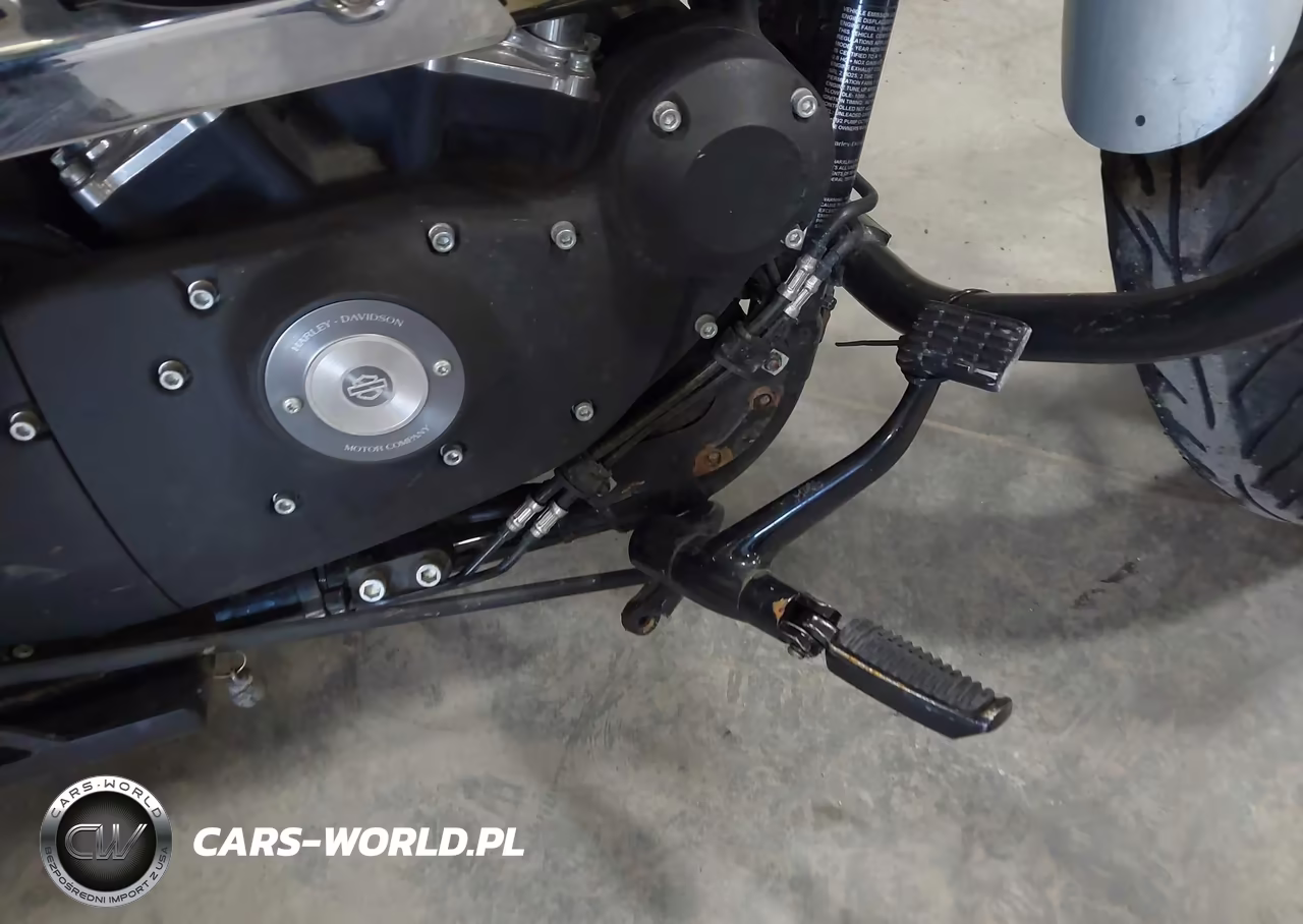 2015 Harley-Davidson Xl883 Iron 883 VIN:1HD4LE214FC402041 - 15