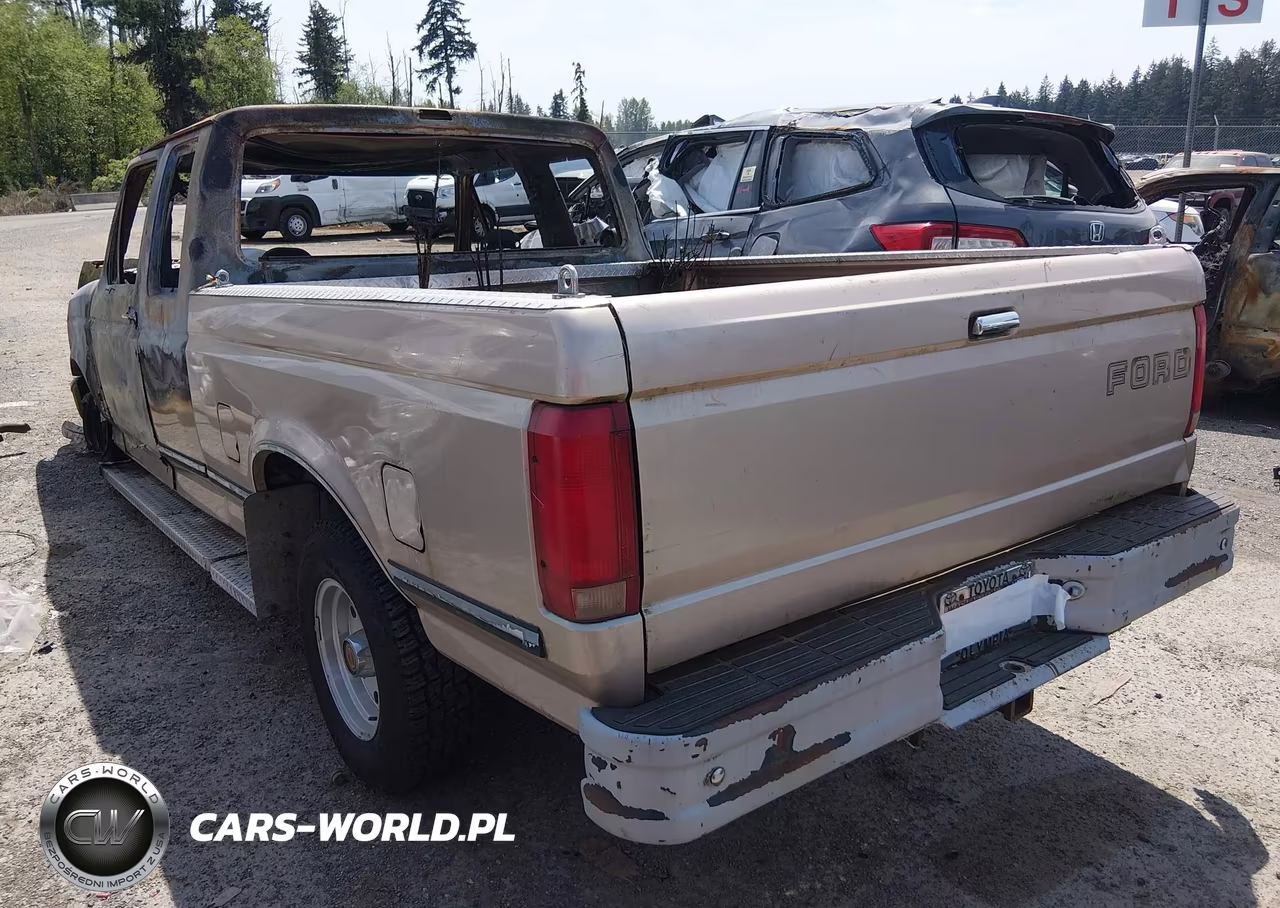 1992 Ford F150 VIN:1FTEX15Y2NKA38556 - 3