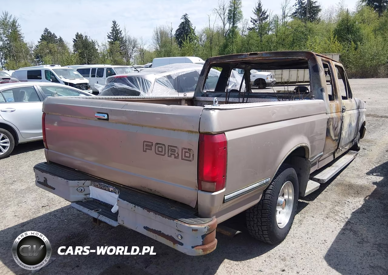 1992 Ford F150 VIN:1FTEX15Y2NKA38556 - 4