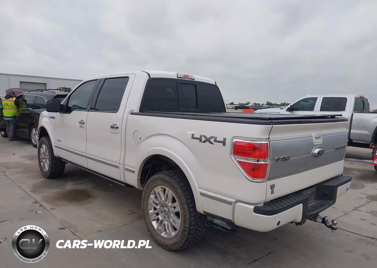 2013 Ford F-150 Platinum VIN:1FTFW1ET8DFB66240 - 3