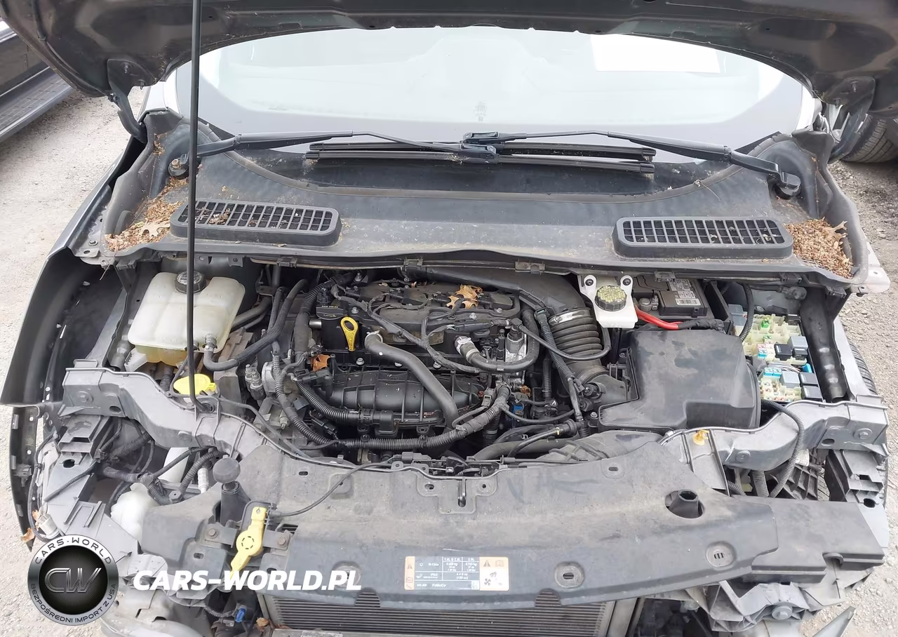 2014 Ford Escape Titanium VIN:1FMCU0JX2EUC58903 - 10