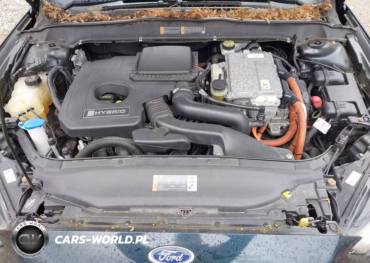 2014 Ford Fusion Hybrid Se VIN:3FA6P0LU9ER266361 - 10