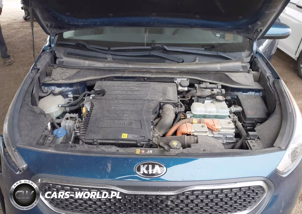 2019 Kia Niro Lx VIN:KNDCB3LC1K5250769 - 10