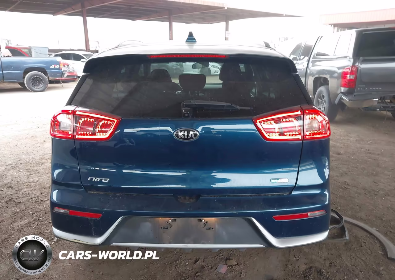 2019 Kia Niro Lx VIN:KNDCB3LC1K5250769 - 16