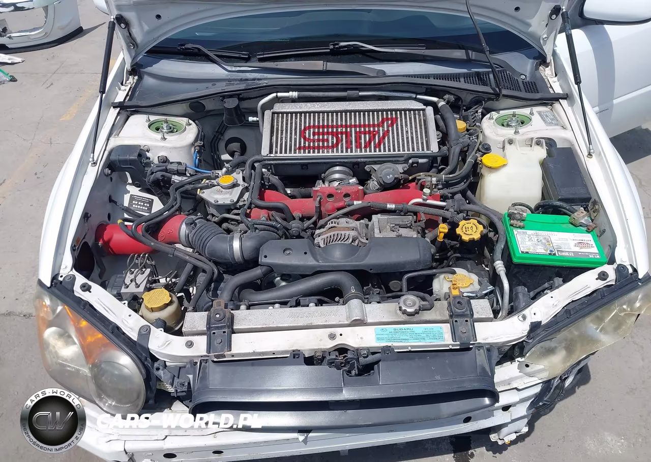 2004 Subaru Impreza Wrx Sti VIN:JF1GD70664L517443 - 10