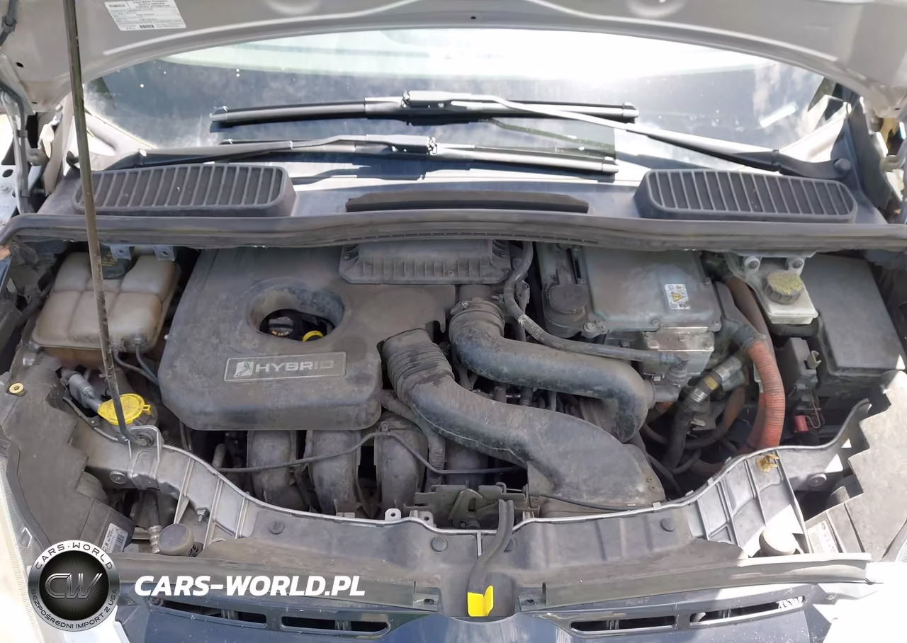 2015 Ford C-Max Hybrid Se VIN:1FADP5AU2FL124912 - 10