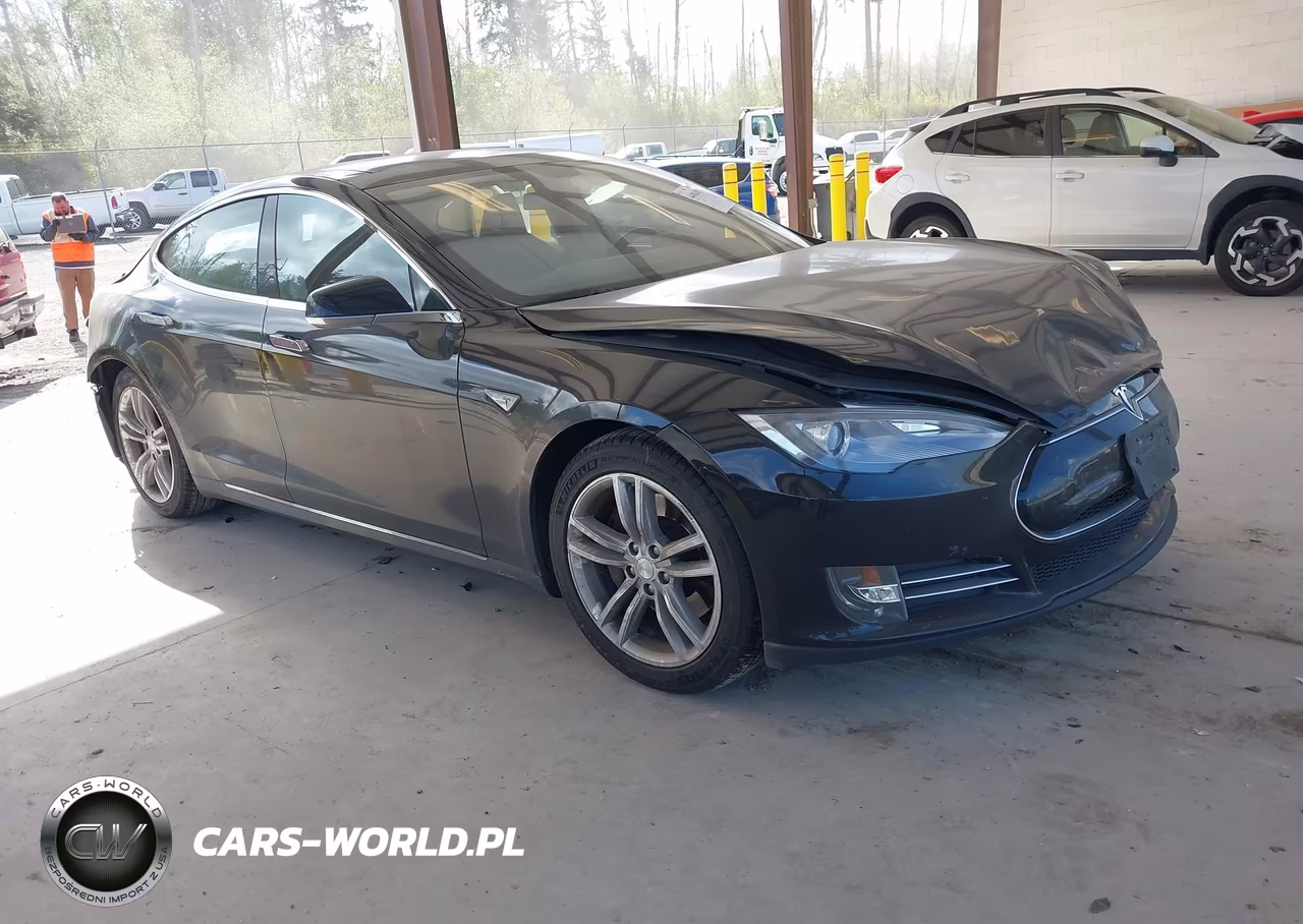 2013 Tesla Model S Performance VIN:5YJSA1DP1DFP04590 - 1