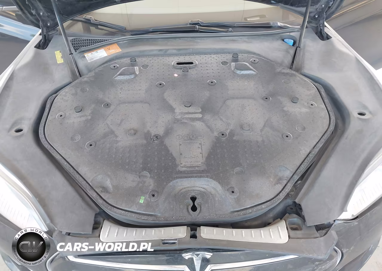 2013 Tesla Model S Performance VIN:5YJSA1DP1DFP04590 - 10