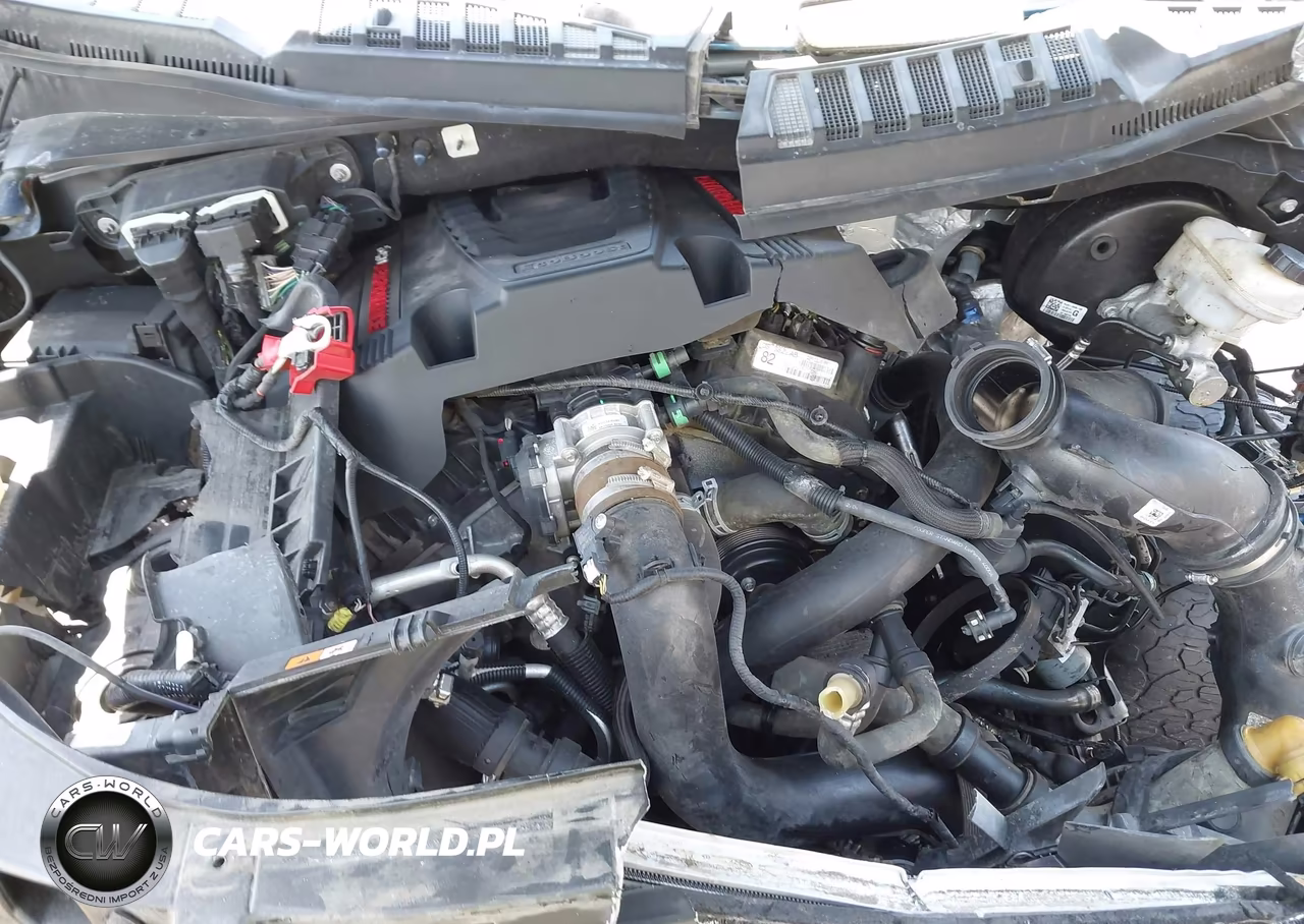 2019 Ford F-150 Raptor VIN:1FTFW1RG6KFB00327 - 10