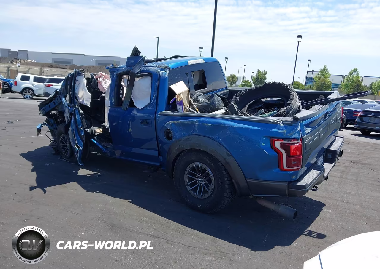 2019 Ford F-150 Raptor VIN:1FTFW1RG6KFB00327 - 3