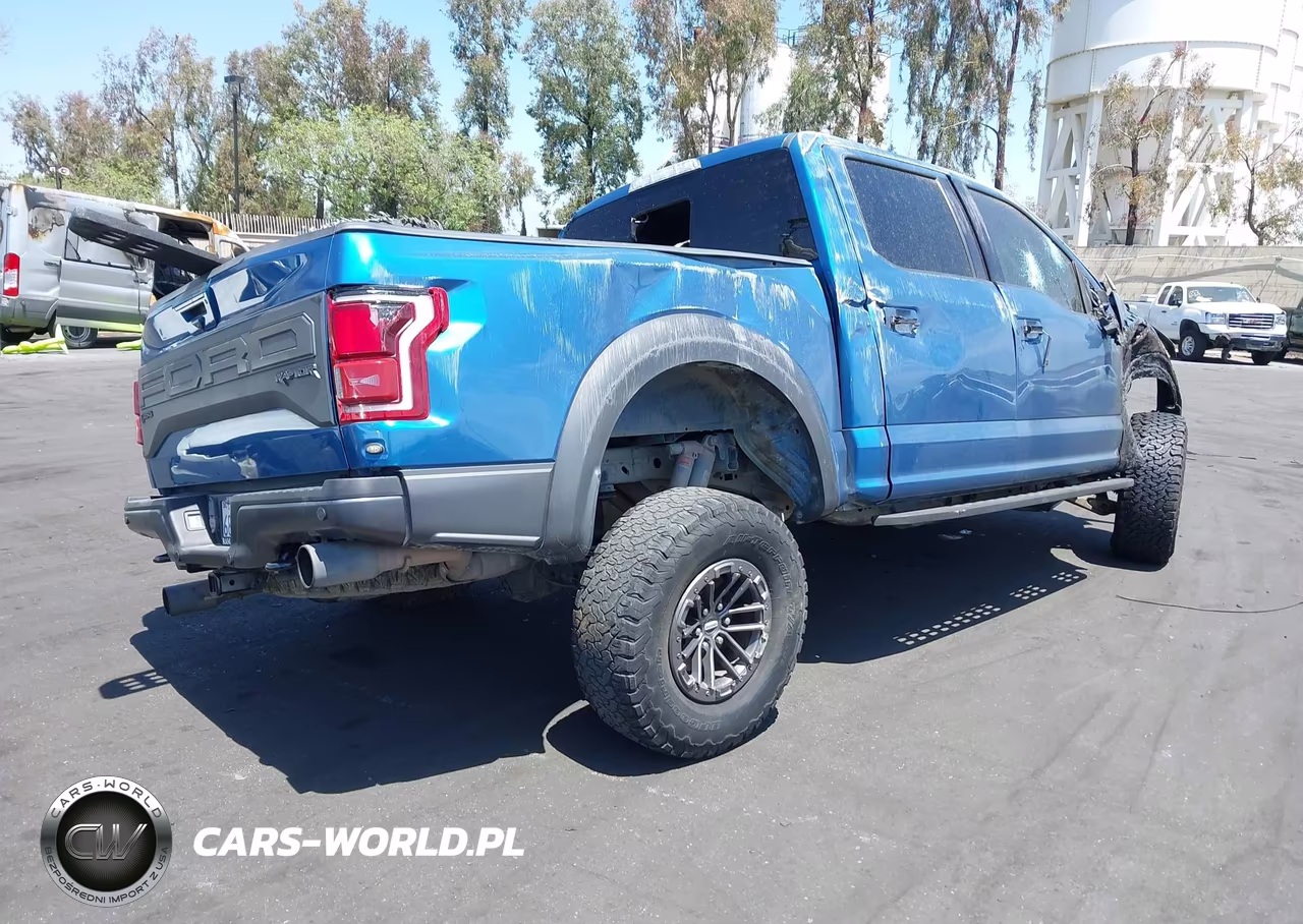 2019 Ford F-150 Raptor VIN:1FTFW1RG6KFB00327 - 4