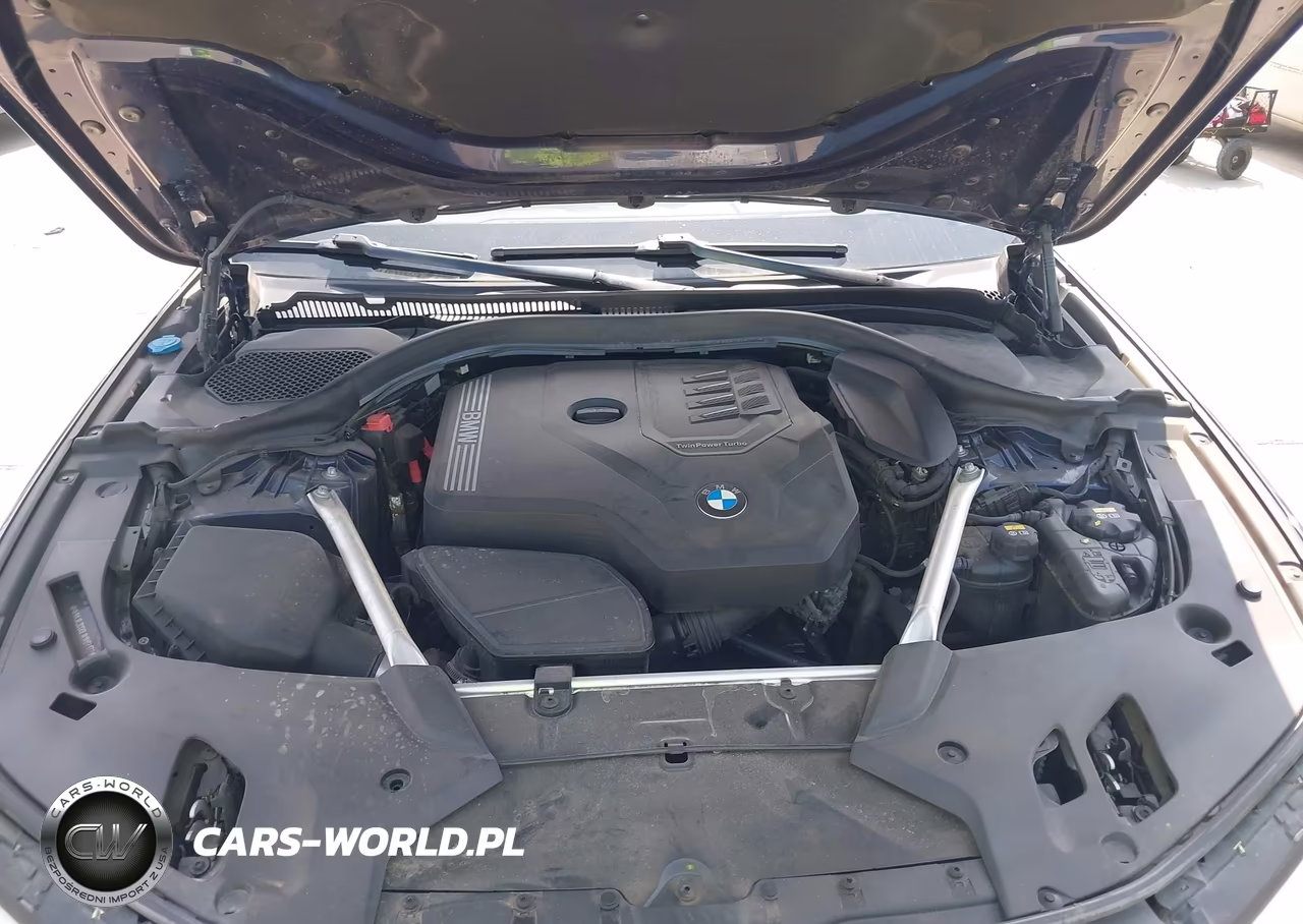2020 BMW 530I VIN:WBAJR3C00LWW67172 - 10