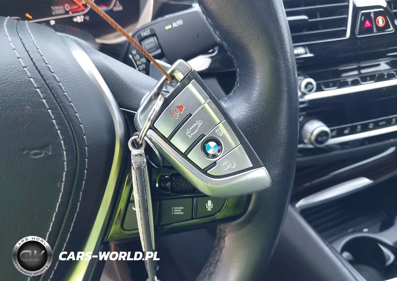 2020 BMW 530I VIN:WBAJR3C00LWW67172 - 11