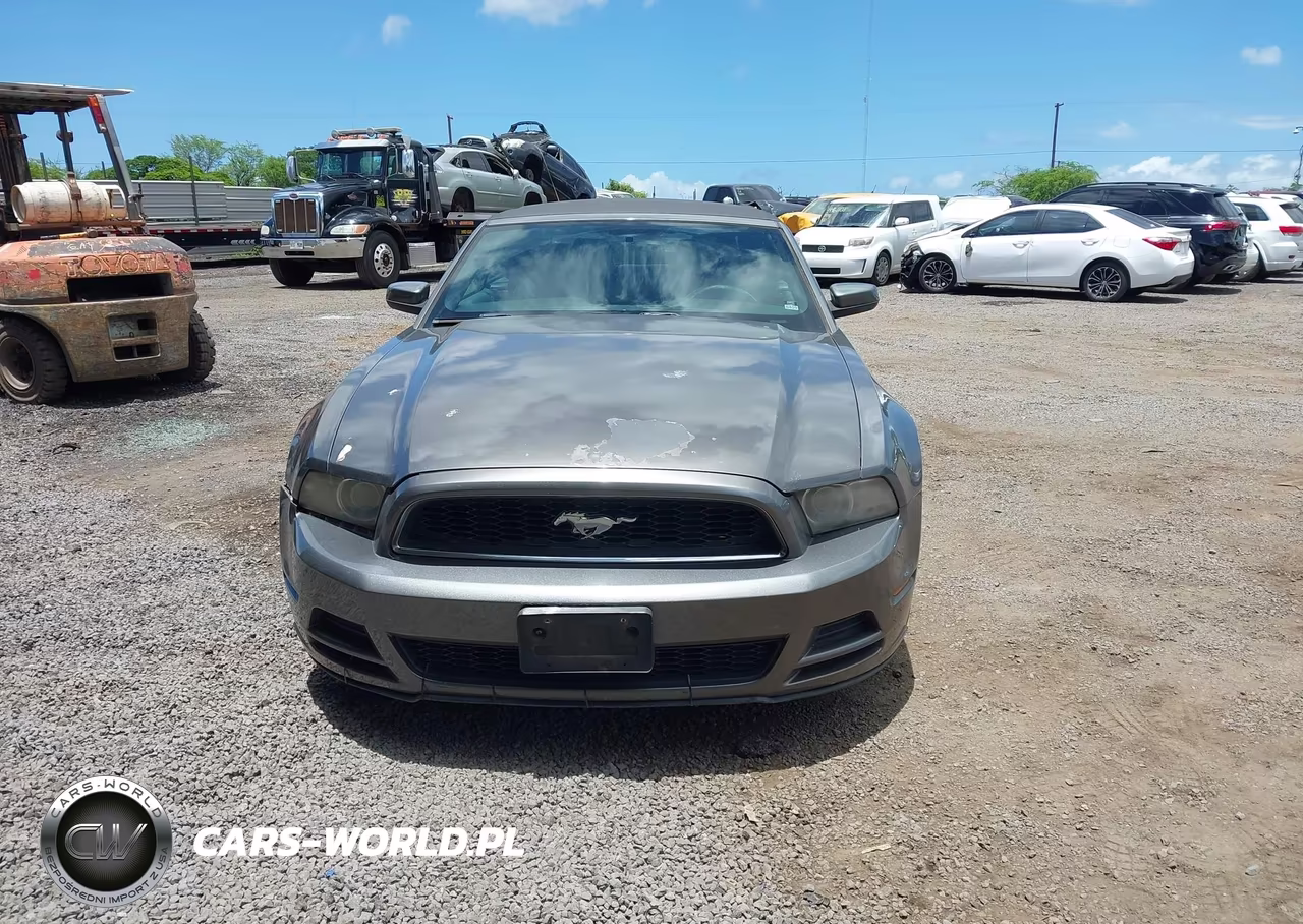 2013 Ford Mustang V6 Premium VIN:1ZVBP8EM4D5264813 - 12