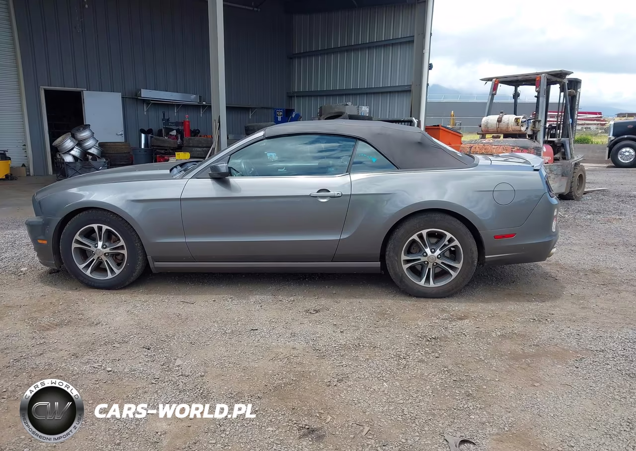 2013 Ford Mustang V6 Premium VIN:1ZVBP8EM4D5264813 - 14