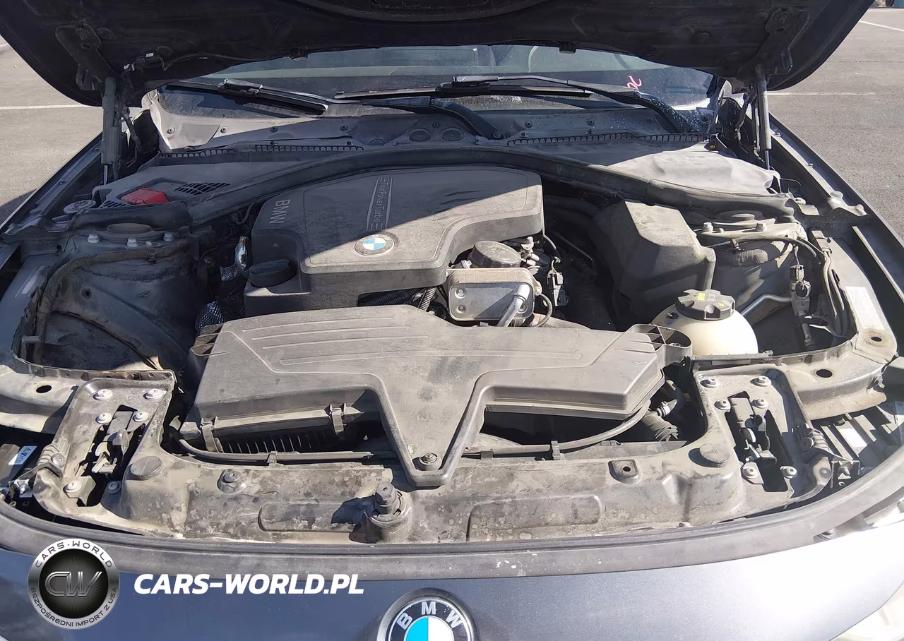 2015 BMW 320I VIN:WBA3B1G51FNT05868 - 10