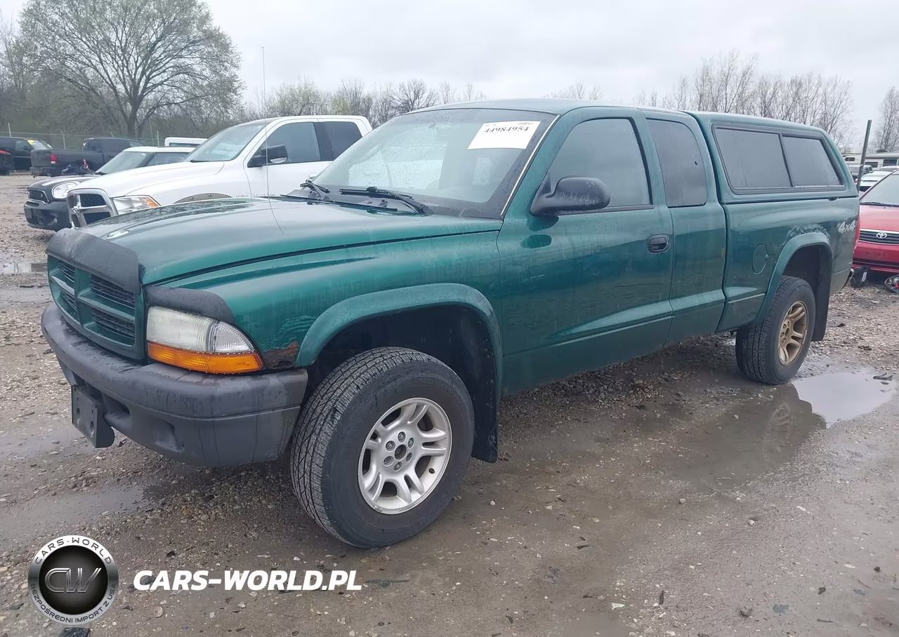 2003 Dodge Dakota VIN:1D7HG12X63S325104 - 2