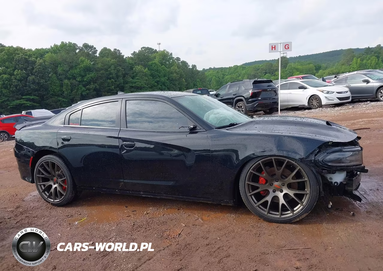 2019 Dodge Charger Scat Pack Rwd VIN:2C3CDXGJ3KH518860 - 14